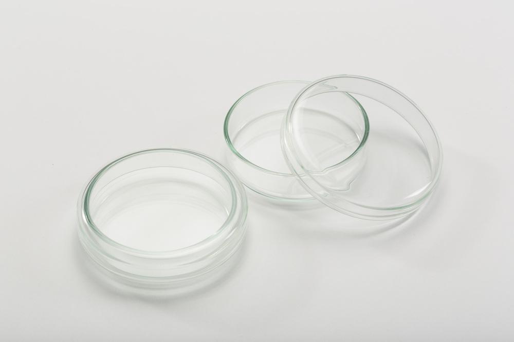 petri dish china