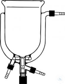 reactor termostatic1 ריאקטורים דופן כפולה