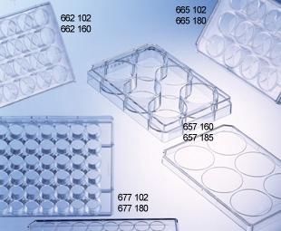 Plate Tissue Culture