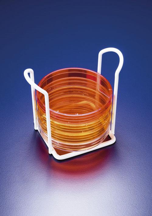 petri dish holder