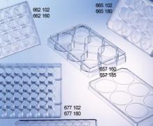 Plate Tissue Culture